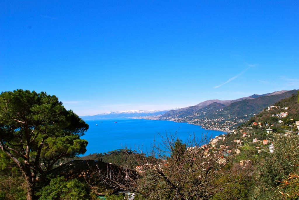 H2.0 Portofino Tatil Evi *